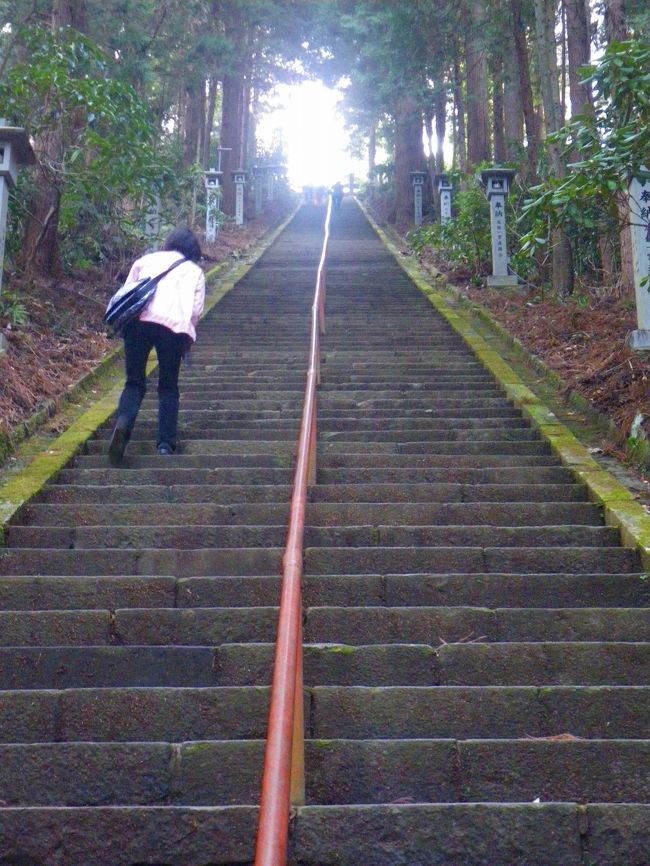 大雄山最乗寺に行って来ました。<br /><br />新年の初詣でいろいろな神社にお参りしたのですが、ダメ押し（笑）ということもありこの由緒あるお寺を訪れました。<br /><br />大雄山は（道了尊） 応永元年（1394年)に創建されました。<br /><br />何でもこの最乗寺は福井の永平寺、鶴見の総持寺に次ぐ格式のある曹洞宗のお寺ということです。<br /><br />創建に貢献した道了という偉い僧が、寺の完成と同時に天狗になり身を山中に隠したと伝えられることから、道了尊とも呼ばれています。<br /><br />ですから境内には多くの天狗の像があります。<br /><br />さらに、この道了にちなんで、境内には多くの下駄が奉納されています。<br /><br />晴れて暖かな節分の日にこの名刹を夫婦で訪れました。