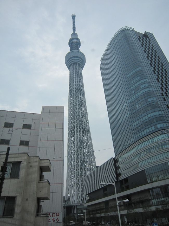 　東京へ行く機会ができたのでかねてから行ってみたかったスカイツリーに行ってきました。<br />　スカイツリーは大変混んでいると聞いていましたのでいろいろ検討してスカイツリーと国会議事堂が観光コースに入っているはとバスが最善と判断してインターネットで予約しました。おかげで待つこともなくスカイツリーに上ることができました。<br />　初日は六本木のホテルから徒歩で国会議事堂を外観から見学し、２日目にははとバスに乗り国会議事堂の内部とスカイツリーの見学をし横浜へ向かいました。