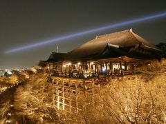 春の関西・広島旅行～京都後編～