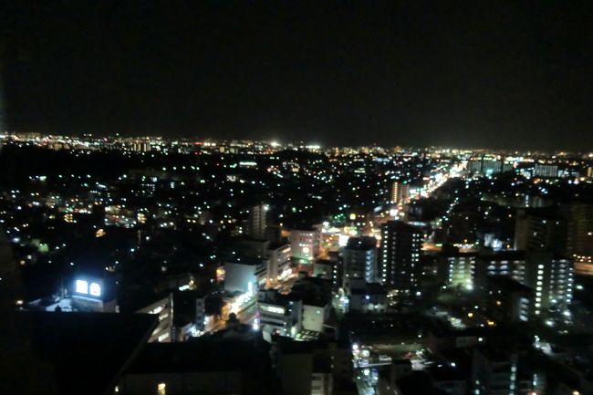 毎年行ってる蔵王だが今年はピーチで行く事にした、<br />昨年往復3.5万ぐらいが今年は1.4万だからだ、<br />そら使うでしょう、<br /><br />しかし朝7時半出発だ、いやあ厳しいつーことで、<br />堺で前泊する事にした、それでも全然安いことには変わりなし<br />早めに会社きりあげて、<br />夕方ホテルに着いたがもったいないので観光することに・<br /><br />まずは、旧堺灯台に行くことにした、<br />前に堺に来た時行けなかったからだ、<br />灯台はホテルから近い大浜公園を抜けていくみたいだ、<br /><br />行く途中大きい道路フがェニックス道りと言うらしいが、<br />信号がないんで歩道橋を渡ると大きな女神像が見えた、<br />龍女神像と言い海の安全を見守る像みたいだ、<br /><br />しばらく歩くと大浜公園につく、<br />なになに日本一低い山だと?天保山じゃないのか?<br />どうも一等三角点がある山の中では日本一低いらしい、<br /><br />なんか屁理屈ぽいがすぐに、<br />その蘇鉄山頂上に登りついたが達成感なしネタにもならず、<br /><br />やはり灯台を目指す事に体育館と相撲場の間を通り抜け、<br />途中不安になるような道を歩きたどり着いた、<br />小さいがカッコいい、近くの工場も描が描かれていてよい、工場萌、<br />ちょうど夕暮れ、灯台と沈む夕日絵になるぜ、<br /><br />次に市役所の展望台を目指す事にした、<br />堺東駅近くにあるのだがかなりの距離がある<br />普通ならバスで行くのだが、<br />あいだあいだに観光名所があるから徒歩でいくことに・・・<br /><br />まずは利休の屋敷跡、なぜか井戸だけ復元、<br />街中にぼつんとあるんで、気づかない人たくさんいそうだよ、<br />さらに歩いて、宿院頓宮へお参り、<br />次に開口神社、与謝野晶子生家跡、菅原神社と驚くほど見るとこ多いのだ、<br /><br />最後に市役所展望台でツレと待ち合わせ合流、<br />なんと夜9時まで開いているという気が効いた<br />サービスが嬉しいし無料なのだよ、<br /><br />21Fまでのぼると夜景が素晴らしい価値ありだ、<br />ピアノや利休の茶室とかあり、<br />いろいろイベントもやってそうだ、<br />夜景を堪能して、帰りは堺までバスで帰る、<br /><br />買い忘れの品物をPLaTPLaTで買って、<br />本日はホテルに帰って明日の朝早いのに備える事にした。<br /><br />続く<br /><br />----<br />仙台・山形蔵王の旅 part2 仙台観光編<br />http://4travel.jp/travelogue/10856545<br /><br />仙台・山形蔵王の旅 part3 山形蔵王編(樹氷祭り)<br />http://4travel.jp/travelogue/10856786<br /><br />仙台・山形蔵王の旅 part4 南三陸さんさん商店街<br />http://4travel.jp/travelogue/10858619<br />---------------------------------