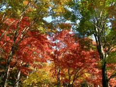 『鶏足寺』の紅葉は評判通りに素晴らしかった！◆2013年・湖北の紅葉めぐり≪その４≫