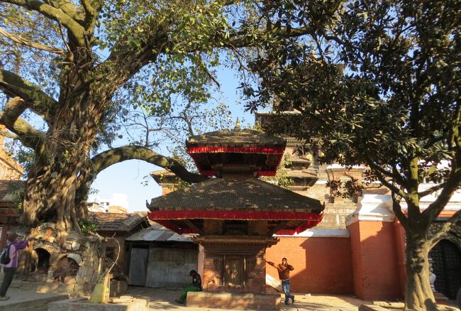 2014新春、ネパール旅行記(37/42)：1月26日(7)：カトマンズ、ダルバール広場、ハヌマーン・ドカ