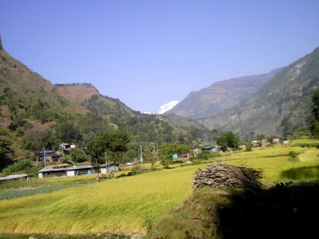 ネパールにきて４４日目にしてやっと今回のタビの最大の目的であった「シンハ温泉」に行くことになりました。<br /><br />ネパール第二の都市でヒマラヤ観光都市であるポカラの西方、バスで５，６時間の山中にある「シンハ温泉」です。<br />「チタマの歩き方」で紹介された文と写真を見て、「これだっ！」と思いました。<br />世界でも秘湯中の秘湯、「天然イオウ温泉純粋源泉かけ流し」に違いない！<br />日本では温泉としての基準クリアのために純粋な「天然源泉かけ流し」温泉は殆ど無い状態です。<br />火山地帯であるカムチャッカ半島にあった「パラトゥンカ温泉」<br />（ http://4travel.jp/travelogue/10107106 ）に浸かったとき初めて「天然イオウ温泉純粋源泉かけ流し温泉」の効能に驚いた経験から、そうした天然温泉は素晴らしく体にいいものに違いない、と考えておりました。<br />そうしたことから、アチコチが痛いイタイという神経痛？が「アレ、不思議！？」と治るに違いない、っと目論んでいたのでした。<br /><br />かくして、ﾜﾀｸｼは今回のタビにネパールを選んだのでした。<br />なんせ秘湯ですから行くだけでも大変なトコロですので、今まではその準備段階であったにすぎないのでした。<br /><br />＊緊急避難ページ⇒2014年2月5日完成。<br />http://www.geocities.jp/ariyan9907/2013eightth_205.html