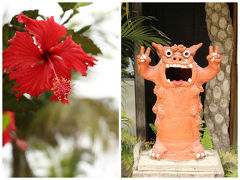 ゆっくり島時間～石垣島・竹富島～