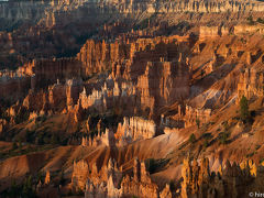 アメリカ国立公園　Grand Circleの旅　【５】Bryce Canyon NP