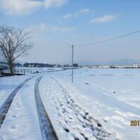 琵琶湖１周の旅　４日目雪のいにしえ街道と白鬚神社 旅ランシリーズ