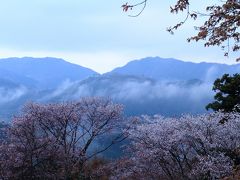 天空の城“竹田城跡”の雲海を見るなら立雲峡がお薦め！