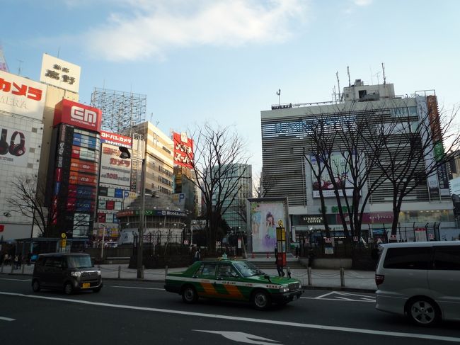 新宿は、新宿駅を中心とした歓楽街とオフィス街で、渋谷や池袋と並ぶ3大副都心の一つです。<br />江戸時代は甲州道中の宿駅として栄えていた宿場町で、関東大震災を契機に繁華街として成長した。<br />町名としては新宿一丁目から新宿七丁目が存在する。<br />つまり、銀座や上野・浅草等の下町に比べて新宿は表層地盤が非常に強く被害が軽微で、震災後に人口が激増した。<br />震災後に西部郊外にとって当時の中央線が都心に乗換え無しで行ける唯一の鉄道だった事から、<br />私鉄各線からの乗り換え需要で新宿に交通網が集中して、昭和初期には都内有数の一大歓楽街となった。<br />そして、1965年に淀橋浄水場が閉鎖されて新宿副都心の開発が始まると、西新宿に超高層ビルが林立。<br />1991年の東京都庁移転などを経て、現在のようなオフィス街を形成した。<br />1990年代以降は、1996年の西新宿駅や2000年の東新宿駅の設置により、複合型の超高層ビルや超高層マンションを中心とした再開発が進んでいる。<br />又、日本最大の歓楽街、歌舞伎町から直ぐの場所にはビルに囲まれた花園神社も有る。