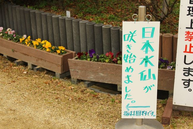 近場のオアシス、リサイクル環境公園。<br /><br />休みが取れたので、家族でひと足お先に梅花見へ。<br />駐車場も無料、年中様々な花が咲くこの公園。<br />メジャーでない分、ノンビリ散策ができるうえ、満足なボリューム。<br /><br />大阪南へお越しの際は、ぜひお立ちよりあれ。