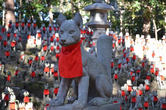 愛知県在住なのに初の豊川稲荷<br /><br />昨年の１月より入院中だった母の病気平癒祈願も兼ねて初詣に行ってきました<br />ただ、母は先月末（１月）に願いも届かず他界<br />（健康自慢の母をこんなに早く亡くすとは思ってもみませんでした…）<br /><br />今回のコメントは場所の紹介のみです<br />