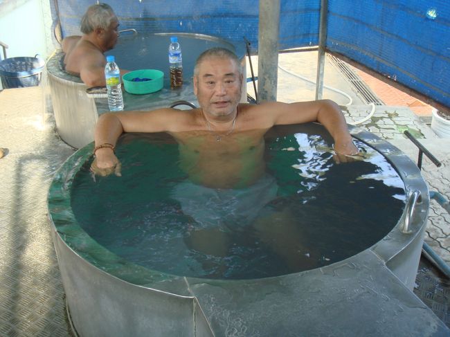 カンチャナブリ最終章いよいよツアー最終日、今日はカンチャナブリ中心街から約20キロのところにある温泉へ行く。国道323号線を南下して大きな交差点を斜め右に入って行き、街を通り過ぎると左側に立派なお寺がある。名前は、ワット・ワンカナーイ。温泉は、このお寺の敷地内に湧き出ている。<br /><br /> 温泉のある場所は、入口の門を入って左側の建物。外には足湯の施設があり、内部は男女に分かれていて、バスタブとアルミ製の丸い浴槽がある。アルミ製の浴槽は普通のサイズと大きなVIPサイズがあった。<br /><br /> 蛇口をひねると勢い良くお湯が出てきて、あっという間に浴槽がいっぱいになった。お湯の温度は42度で、ちょうどいい湯加減である。大きな浴槽でのんびりと朝湯を楽しんだ。<br /><br /> ここは、お寺の中なので入浴料はない。ただ、寄付の箱があったので少ないけれど20Bを入れた。判りやすい街中にあって、しかも無料の温泉はなかなか貴重である。<br /><br /> 温泉から上がって着替えをして、ふっと後ろを見ると野菜などが並べて売られていた。大根、キャベツ、トマト、玉ねぎ、など。どれも、一袋10Bである。これは、安い! 今日の予定はこれからパタヤに帰るだけなので、大根、玉ねぎ、トマトを買った。観光地では1本150Bで売っていた蜂蜜が100Bだったので、それも1本買った。仲間も思い思いに、食材を買い漁っていた。<br /><br /> 野菜と蜂蜜を車に詰め込んで、温泉を後にした。帰りは、GPSのカーナビでセントラル・パタヤを目指した。選挙後の騒乱で国道や幹線道路が閉鎖されるといけないので、時間はかかるが名も無い裏道を走った。幸い、何もなかったが、数日後にはカンチャナブリ、ラチャブリで道路閉鎖があった。<br /><br /> 途中、有料道路の分岐を間違えて手間取ったが、我ら一行は午後4時に無事パタヤに到着した。お疲れ様でした!!!
