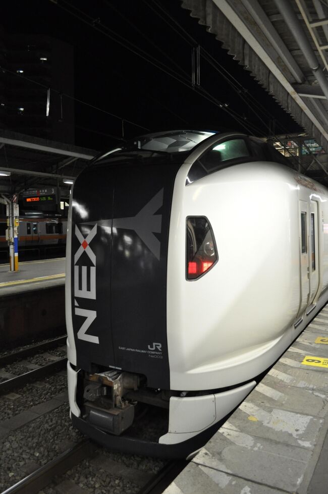 2014年最初の鉄道旅行は、前月、直江津駅まで買いに行った「大人の休日倶楽部パス(東日本・北陸)」を使った鉄道旅行でした。<br /> 2014年1月24日から27日にかけて、房総半島や東北地方を中心に、いろいろな路線・列車に乗ってきました。<br /> 最終日も早起きして、成田エクスプレス号に乗って成田空港へ向かいます。