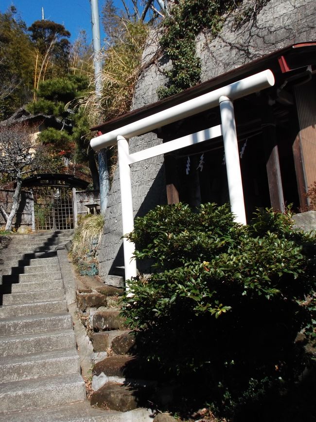 ご存知ですか?・・裕次郎通り。裕次郎とは石原裕次郎のこと、若かりし頃ガールフレンドに会いに通った道ですって。<br />どこに?・・北鎌倉の観光メインロードの途中の路地。多くの観光旅行者が通り過ぎます。線路を跨ぎ、つながる路地先は鎌倉人が住む御宅街、古山稲荷社と続く。この古山稲荷社、知る人は少ないでしょうがTVドラマのロケ地でした(葉祥明美術館含めて)。2011年リバウンド(相武紗季・速水もこみち)で放映されているという(見ておりませんが)。<br />そして一般の人はまず立ち寄らない、観光から取り残された地元でも小さい神社、烏森稲荷神社へ。<br /><br />鎌倉裏観光(観光客・旅行者が訪れにくいスポット巡り)の北鎌倉編です。