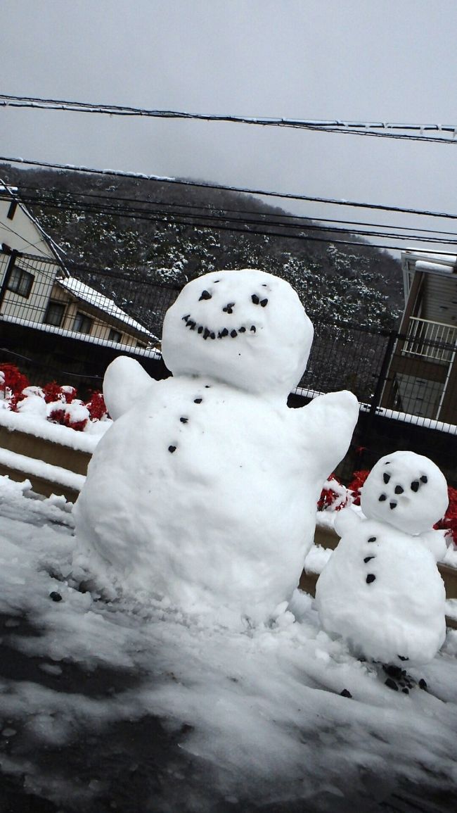 2月8日の岡山は前夜からの雪が降り積もり、8cmの積雪となりました。<br />1994年2月12日の9cm以来、20年ぶりの大雪です。<br />岡山県南部での大雪はきわめて珍しいため、子どもたちはもちろん、大学生たちも各所で雪だるまを作っていました。<br />もっとも、氷点下での降雪となった関東地方とは異なり、岡山市の最低気温は0.2度どまり。また、日中には6.1度まで上がり、午後にはかなり融けています。<br /><br />このアルバムでは、岡山大学周辺＆構内を中心に、早朝散歩時の雪景色、朝の雪景色、さらに、各所に出現した雪だるまの写真を掲載します。（岡大構内は大変広く、今回歩いたのは敷地の1/3程度です）。<br /><br />※2月9日から10日に撮影した写真を追加しました。