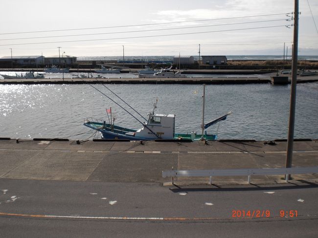 立春の廻りが一番寒いのですよね<br />南房総白浜は温暖なところ<br />すっかり春めいてきました<br />花の露地栽培<br />海の方も冬から春へ<br />三寒四温<br />船を入れ替えて今後は小型船での出船になります<br />