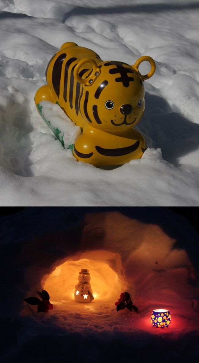 雪原のトラ/かまくら　小手指二丁目松岡公園　2014.2.9　9：59<br />Spring mounted moving tiger baby in Matsuoka Park/IGLOO<br /><br />2,3日前からラジオ・テレビで大雪に対する警戒・対策準備を呼びかけていたが、気象庁が昨年「東京都内は降っても積もることはないでしょう」が見事に外れて7〜8センチの積雪があって交通の大混乱が発生した教訓・反省からの多少は過剰な警戒予報と受け止めていた。<br />ところが結果的には見事に予報が的中し、都心部の積雪27センチは実に45年ぶりの大雪となった。<br />私が住む埼玉県にも大雪警報が出されたとの情報が「ところざわほっとメール」infohttp://tokorozawa-hotmail.jp/renraku/user/hotmail/blog/showDetail.doで配信された。10日の新聞によれば熊谷の積雪43センチは観測史上タイ記録。（昔から熊谷測候所が埼玉の公式観測所）<br /><br />8日（土）朝から降っていた小雪は小粒であまり目立たず、大粒女優のイメージではなかった。<br />お昼前後から小粒のまま降り方が激しくなり、13：35に携帯で撮った写真にあるように積雪は14センチに達した。<br />夜にかけて一層の大雪になるとの報道を信じ、車庫の屋根に積もった雪降ろしの1回目を行った。夕方に2度目の雪下ろしを行った。<br /><br />所沢あたりでは大粒の牡丹雪になって積もるケースが多いが、今回は小粒のまま積雪が30センチ近くになった。<br />8日夜半にはほとんど止み、9日朝には雲の切れ間に青空がのぞくようになり、気温も5℃を上回る感じだった。<br /><br />8日の午後から自宅前の4ｍ道路の除雪した雪をレンガ塀際に積み上げて「かまくら」作りの準備を始めた。<br />かまくらは何度か作って中に雪だるまのキャンドルを飾るのが楽しみだが、今回は今までで最大の雪山ができた。<br /><br />9日は10時ごろから青空が広がったので、自宅周辺から小手指駅方面までの「わが街　小手指」シリーズで何回か取材・ブログ投稿したエリアの雪景色の撮影に出かけた。<br />今回の大雪が45年とか20年ぶりとか報道されると、自分はあと20年は生きないだろうという思いが巡り、人生最後の大雪の景色を撮ってくるとの意気込みだった。<br />とは言え、特別変わった被写体があるわけではなく、ただただ見慣れた地元の街並みを写しただけだ。<br />地元の皆さん以外には大して関心を持たれないのは承知の上で、「この日にここに生きていた」証拠写真を撮った。<br /><br />本日のコースに類似した旅行記<br />小さな旅　雪明けの公園<br />http://4travel.jp/travelogue/10640029<br />小さな旅　夜明けのわが街　小手指2011<br />http://4travel.jp/travelogue/10582913<br />小さな旅　夜明けのわが街　小手指2012<br />http://4travel.jp/travelogue/10688759<br />2012小手指のしだれ桜と春の花<br />http://4travel.jp/travelogue/10660552<br /><br />撮影CANON EOS 40D EF=S17/85,EF-S10/22<br />docomo P-07B(Panasonic)<br /><br />思い出に残る大雪<br />・昭和44(1969)年3月12日<br />入社した翌年（1年目）で和光市の勤務先から川越市南大塚の自宅に買ったばかりの軽乗用車N360で帰る途中、自宅寸前で大雪に阻まれ、親父に助けを求めた。45年前の記録的大雪です。<br />報道によれば都内の積雪45センチ。<br /><br />・1994年2月12日<br />長女が卒業旅行でハワイに出かけて帰宅予定日に、大雪で成田空港が閉鎖となり、予定を1日伸ばした。（先ほど本人から聞いた）<br />http://www.youtube.com/watch?v=ruarxOf9tkg<br /><br />・1998年1月15日成人の日<br />長男の成人式の日の大雪で、東京の積雪記録は16センチ。<br />成人式会場の小手指公民館まで車は出せず、長靴を履いて歩いて行った。<br />http://www.youtube.com/watch?v=zeEcxqqPGFI<br /><br />スキーが趣味で信州・上越・蔵王・草津・万座・尾瀬など各地のスキー場を体験し、深い雪には慣れていますが、住んでいる市街地での雪は全く異なる感じがします。<br /><br />2014.2.15<br />今週も大雪を通り越して豪雪に見舞われた小手指（関東地方全域）。<br />自宅の2階の窓から見える景色は、どこの家の屋根にも30センチ以上の積雪です。<br />自宅の２階のベランダの屋根は雪の重みに耐えられず折れてＶ字になってしまいました。<br />今朝は雨に変わっているので止んだら撮影に出かけるつもりですが、膝上まで雪に埋もれそうです。→松岡公園のみ取材しました。<br /><br />わが街小手指の2.15豪雪<br />http://4travel.jp/travelogue/10859591<br /><br />