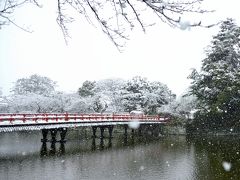 小田原城　 お城には「雪」が良く似合います