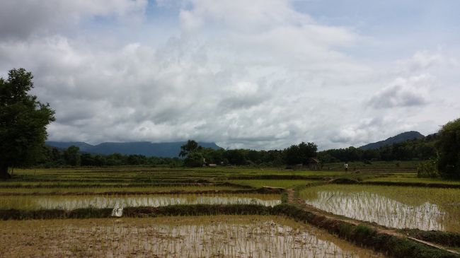 男二人旅マレーシア→タイ→ラオス！！<br /><br />2013/07/23〜2013/08/07までのアジア三カ国旅！<br /><br />一日目　　KL到着→市内散策→ハジャイ（タイ）へ<br />二日目　　ハジャイ到着→チェンマイへ(飛行機)<br />三日目　　チェンマイ観光（ワローロット市場→旧市街→ムーカタ）<br />四日目　　チェンマイ観光（チェンマイ大学→ワット・スアン・ドーク）<br />五日目　　チェンマイ観光（ワット・ドイ・ステープ→サタデーマーケット）<br />六日目　　チェンマイ観光（ワローロット市場→サンデーマーケット）<br />七日目　　チェンマイ→チェンコン<br />八日目　　チェンコン→フエサイ（ラオス）→（スローボート）→パクベン<br />九日目　　パクベン→（スローボート）→ルアンパバーン<br />十日目　　ルアンパバーン観光<br />十一日目　ルアンパバーン観光（タート・クアンシー）<br />十二日目　ルアンパバーン観光（対岸の村へ）