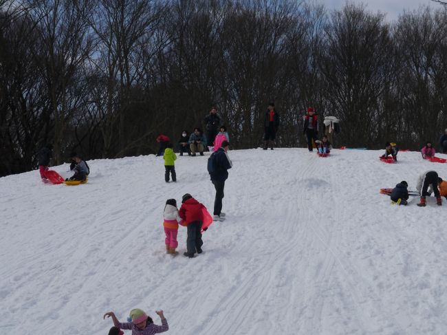 野川公園には人工的に作られた高さ２０ｍ程の小さな丘がある。クジラ山という丘で、遠くから見ると、成程、鯨に見えないこともない。春夏秋冬、野川は小金井市民の憩いの公園となっているが、特にこのクジラ山周辺では何かとイベントが催される。夏の間の近くの小学生たちのキャンピング、秋のちびっこ祭り。この時はタイの屋台なども出店してきて、賑やかだ。<br /><br />子供達がまだ小学低学年の頃だからもう３０年の前になるが、沖縄から東京に帰ってきた直後の頃は今よりも冬が寒く、毎年のように雪が降り、積もった。日曜日、大雪の朝、親はスキーを持ち、子供達はプラスチックのソリを持ってこのクジラ山にやって来た。１０数回も滑り降りると飽きてくるが、小１時間程の雪遊びを楽しめた。同じような親子連れも何家族か集まって来ていた。<br /><br />世代は代わり、その頃の子供達は親の世代になって、今目の前のクジラ山で、３０年前、自分たちがこの雪山で楽しんだ雪遊びを小さな子供と一緒になって楽しんでいる。３０年振りの大雪。親子の楽しい遊びの機会が３０年振りにやってきた。思いっきり大声を出して遊ぶが良い。今日は早春の晴天だ。<br /><br />