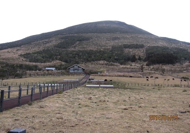 八丈島ウオークでゴールした後、私たちは二つのグループに分かれました。<br /><br />一つのグループは、ウオーキング参加者全員に配られた町営温泉無料入浴券を利用しての入浴です。<br /><br />もう一つのグループは、八丈島出身のリーダーの運転で、八丈富士の中腹にある「ふれあい牧場」などへのドライブです。<br /><br />私は「ふれあい牧場」などへのドライブを選びました。