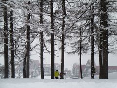 東京が大雪の日に上越国際でスキー＆温泉