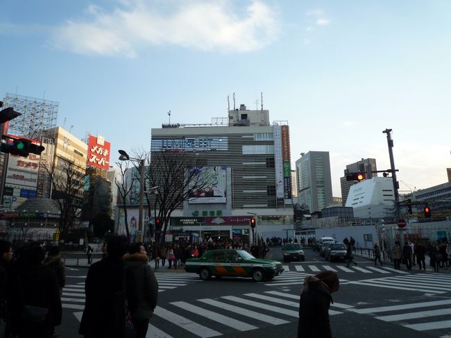 新宿は、東京都新宿区南西部と渋谷区にかかる新宿駅を中心とした歓楽街・オフィス街、日本一の繁華街です。<br />江戸時代は甲州道中の宿駅（内藤新宿）として栄え、近代以降は関東大震災を契機に繁華街として成長している。<br />町名としては新宿一丁目から新宿七丁目が存在している。<br />新宿駅の一日の利用者数は約344万人（2007年、地下街で連結した西武新宿駅含むと約364万人）に達する。<br />もちろん、世界一の乗降者数で有り、ギネス・ワールド・レコーズに認定されています。<br />徒歩圏の周辺駅も併せた『新宿エリア』の駅乗降者数は約403万人（2007年）です。<br />繁華街の集客人員は164万人（2002年）に達していて、統計では日本一と言われています。<br />デパート販売額や商品販売額では日本で初めて1兆円を超えた商圏街です。<br />なお、繁華街として一般に「新宿」と称される範囲は、地名としては新宿区新宿・西新宿・歌舞伎町などである。<br /><br />