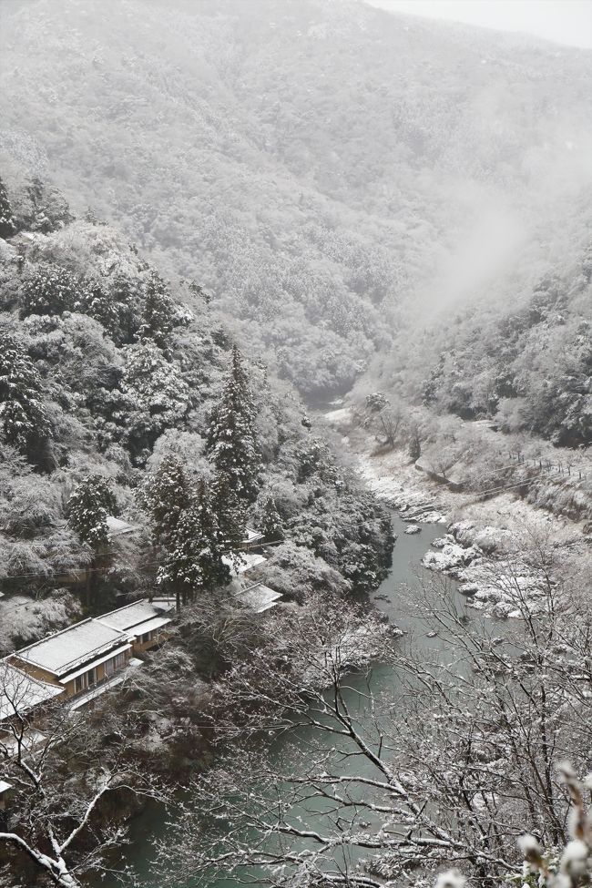 週末二週続けて大雪となった日本列島。<br />この旅行記は最初(2/8)に降ったときのものです。<br /><br />今年二回目となる京都の雪景色。<br />前回は清水寺・八坂神社などの東山エリアだったので，今回は西の嵐山エリアへ。<br /><br />いい感じに雪が積もることを期待していたのですが，明け方頃から雪は次第に雨へ。<br />雨で雪はシャーベット状になり，「これって雪景色？」と首をかしげたくなる中の撮影になりました。<br /><br />仁和寺と下鴨神社の写真も合わせて載せておきます。<br />