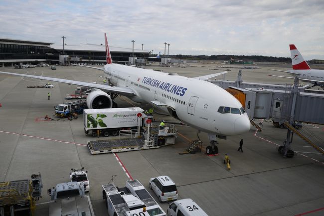 激安ビジネスクラス トルコ航空 カイロ イスタンブール 成田 ターキッシュ エアラインズ Turkish Airlines Tk 2014n Y カイロ イスタンブール カッパドキア9日間 イスタンブール トルコ の旅行記 ブログ By Megさん フォートラベル