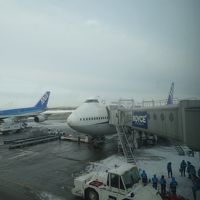 ANAテクノジャンボで雪まつりでも東京が大雪とは･･･。