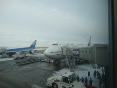 ANAテクノジャンボで雪まつりでも東京が大雪とは･･･。