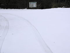 高速道路はあちらこちらで通行止め、近くの池で遊んできました