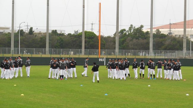 ５回目の一人旅。<br />初沖縄。有人島の日本最南端波照間島をはじめ、竹富島・黒島・石垣島・那覇に行ってまいりました。<br /><br />５日目。（石垣島）