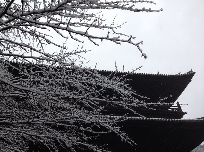 ●父と王道な京都観光②２日目：雪と雨の南禅寺・銀閣寺・嵐山●