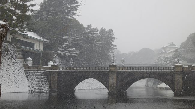 10年に一度の大雪が降るということで雪映えしそうな皇居に行ってみました。<br />入場門によって通行できる時間が異なるので注意が必要です。