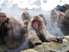湯田中温泉と雪猿の旅