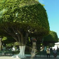 【出張、出張】トラブルだらけの出張 Ⅱ。=始めちょろちょろ編=