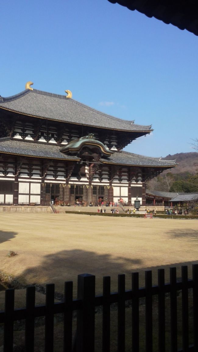 世界遺産の東大寺と春日大社に行ってきました。