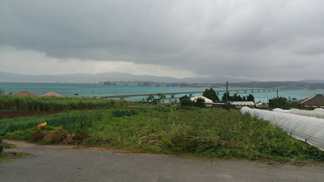 楽しかった沖縄旅行も最終日です。<br />この日は古宇利島を目指しました。