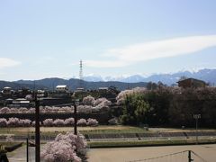 高遠城の天下ニ千本桜！！