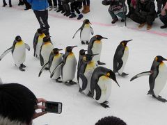 冬の北海道～旭川冬まつり＆旭山動物園～