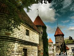 ２０１３年夏の旅vol.09～母親連れてエストニア・タリン編～