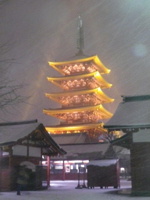 雪の浅草・浅草寺を昼と夜に散策』浅草(東京)の旅行記・ブログ