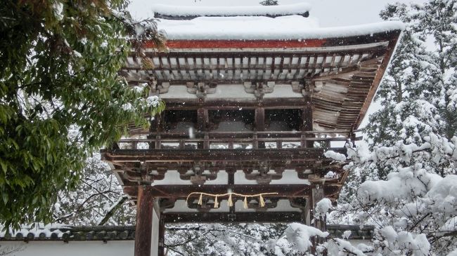今年一番の大雪の日に長岳寺に行ってきました。<br />