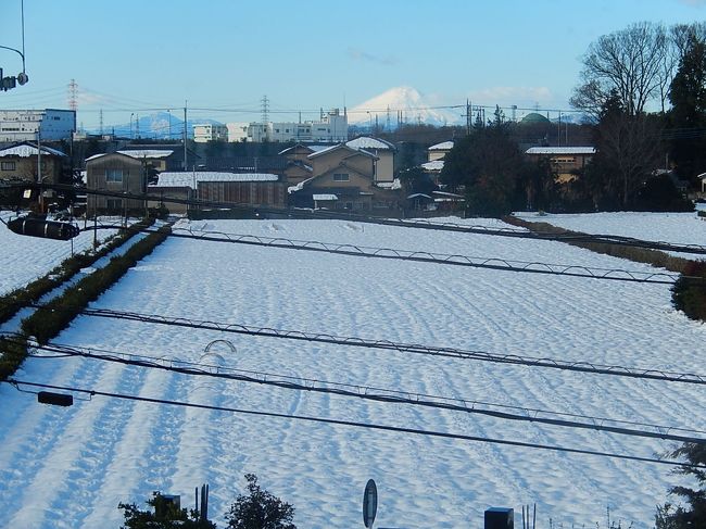 ２月16日、午前8時と11時半過ぎの２回、久しぶりに晴れわたり、美しく見られた富士山を眺めた。<br />畑一面に積雪がある風景と富士山の姿との取り合わせは格別に美しく感ぜられた。<br /><br /><br /><br /><br />＊写真は午前8時過ぎに見られた富士山