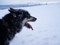 '14年2月　オーロラ旅行　in ノルウェー