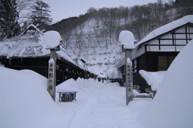 2007年秋に乳頭温泉鶴の湯の本陣が予約でき、銀山温泉も予約できたので、2008年1月に雪の乳頭温泉郷めぐりと銀山温泉に行きました。<br />1月24日早朝家を出て伊丹発8時25分で秋田空港に10時前着。<br />空港からは予約していた秋田エアポートライナー（マイクロバス）で11時10発。<br />目的地は角館。雪の武家屋敷街の撮影だ。角館駅前で降りて地吹雪の中武家屋敷街へ。<br />角館から乳頭温泉まで秋田エアポートライナーの予約をしていたので、15時20分まで撮影。<br />春の桜シーズンは人で一杯だが、ほとんど人がいない。<br />乗車予約地点まで歩いて、途中できりたんぽ（だったと思う）を食った。微妙。<br />あまりの寒さに温泉を使った風呂屋があったので入浴。<br />時間に乗車ポイントに行く。<br />来ない。連絡すると建物の反対側だった。<br />16時半頃乳頭温泉鶴の湯にチェックイン。すごい雪だ。<br />宿泊の本陣は江戸時代の建物。だがウォシュレット。良かった〜。<br />入口は引き戸で鍵が無い。心張り棒で戸締まりだ。江戸時代のよう。<br />夕食は部屋の囲炉裏端で山のいも鍋と山菜と囲炉裏で焼いた魚。<br />囲炉裏だけでは寒いが暖房器具もあるので暖かい。<br />壁が薄く隣の声が聞こえる。<br />照明は囲炉裏の上にランプ。はだか電球もあり暗くは無い。<br />湯に入りに長靴を履いて脱衣場へ。<br />雪の中の鶴の湯温泉。有名な露天風呂寒い。湯の温度が低い。混浴だが白濁で女性も気にならないのでは。<br />2時間ぐらい湯の中にいても寒い。加温してる内風呂へ。やっと暖まる。<br />テレビは無く、温泉に入ったあとは寝るだけ。<br />1月25日朝4時頃からまた露天へ。<br />長靴を履いて扉前の階段を降りようとするが夜中に降った雪で階段に40cmぐらい雪が・・・<br />長靴が埋まって脱出に苦労した。通路は脱衣場まで埋まること無く歩けた。<br />明るくなるまで湯につかり、加温した内湯へ。<br />朝飯は部屋食でなく食事棟。<br />湯めぐり帳を購入してたのでこの日は乳頭温泉郷めぐり。<br />鶴の湯から無料バスで先ずは蟹場温泉。バスの時間まで2時間。それまでに全ては廻れない。<br />蟹場温泉の露天は時間がまだ合わず内湯のみ。残念。<br />歩いて大釜温泉へ。<br />ここは木造校舎を移築した温泉。宿泊しないから関係は無いが。<br />内湯に繋がる露天へ。早々に着替えて次の妙の湯まで徒歩。<br />妙乃湯は小洒落て女性に人気があるのはわかる。<br />ここでは身体を洗い露天へ。ここも混浴。誰もいないので開放感一杯。<br />次に休暇村乳頭温泉郷へ。ここでも身体を洗って露天へ。<br />11時半発のホテル前から出てるバスで田沢湖駅前へ。<br />銀山温泉編に続きます。<br /><br /><br />