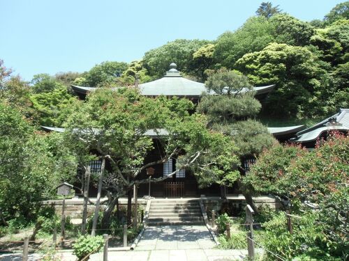 ◆希少 明治後期 鎌倉市旧家！龍雲堂 角印 盆景 『うなぎ取りの老夫婦』古銅 鐔 無銘 京金工 二疋雲龍図 / Tsuab Mumei Kyokinko - 勝武堂