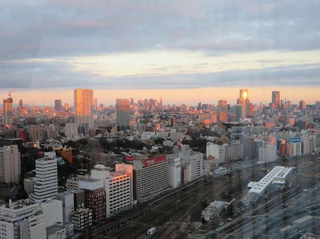 ２０１３年の１１月、関東に転勤してる弟くんから電話がありました。「３月末で、奈良に帰るみたいや！それまでに、一度遊びにおいで」<br /><br />いつにしようかな〜と思いつつ、１２月になってから東京bookmarkで見てみると、日曜日の宿泊は少し安い！という事で、１月１２日〜１４日の２泊３日の旅が、急きょ決定しました！<br /><br />６０００円分のプリンスホテルで使える商品券があったので、１泊はそれで泊まることに。<br />もう１泊は、ストリングスホテル品川インターコンチネンタルに、ものすごーーーく背伸びをして、清水の舞台から飛び降りて、泊まることにしました。<br />