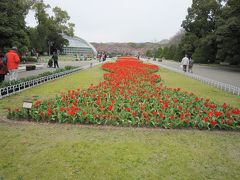 上賀茂界隈