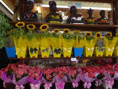 いろいろ華やかリオデジャネイロ　